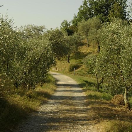 Aramo Verde Bagian luar foto