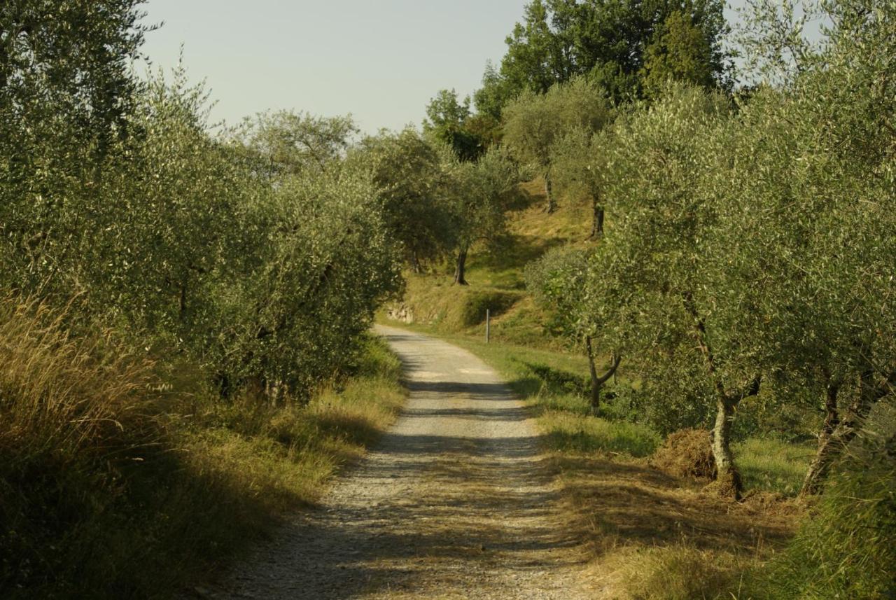 Aramo Verde Bagian luar foto